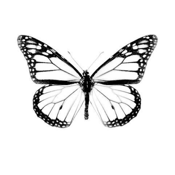 🖤 Meet your posher, Tiffany Alyce 🖤 - Picture 3 of 9